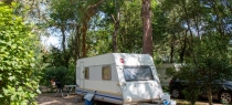 Staanplaatsen voor caravan of camper